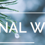 2025 Winter Newsletter Header